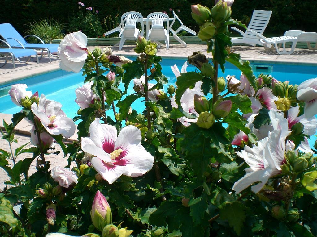 Chambres D'Hotes Le Clos Des Senteurs Malemort Εξωτερικό φωτογραφία
